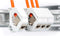 Digitus DK-1743-VH-050 Installatiekabel CAT 7 S/FTP Oranje 50 m