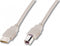 Digitus USB-kabel USB 2.0 USB-A stekker, USB-B stekker 1.80 m Beige