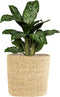 Ter Steege Plantenmand Zeegras Beige Breed 41 cm Diep 20cm Hoog 40cm Rechts op de foto