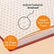 Dingbats A5+ Wildlife Orange Tiger Notebook - Graph
