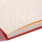 Dingbats A5+ Wildlife Orange Tiger Notebook - Graph