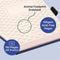 Dingbats A6 Pocket Wildlife Blue Whale Notebook - Graphed
