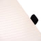 Dingbats* Notitieboek A4+ Wildlife Brown Bear - Gelinieerd