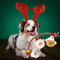 DINGO Elf Brothers - Hundespielzeug - 34 cm
