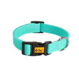 DINGO Energy mint - dog collar - 24-39 cm