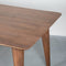 Dining Table Fly 220x100x76 cm