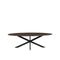 Dining Table James 210x100x76 Cm