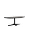 Dining Table Rosie 220x100x76 cm