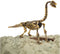 Dino uitbikken 3D set