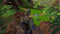 Dinosaurs: Mission Dino Camp - Switch