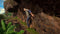 Dinosaurs: Mission Dino Camp - Switch