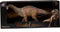Dinosaurus T-rex en Ceratosaurus Ass.