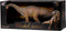 Dinosaurus T-rex en Ceratosaurus Ass.