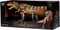 Dinosaurus T-rex en Ceratosaurus Ass.