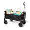 Xenos Opvouwbare Bolderkar - 100 kg draagvermogen - 103 x 54 x 108 cm - Zwart