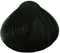 Directions Ebony - Haarverf - 100 ml