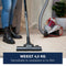 Dirt Devil Stofzuiger zonder Zak DD2502 - Vacuum Cleaner 700W HEPA 12 Filter - Cycloon Stofzuiger met Combiborstel, Kierenzuigmond en Parketzuigmond - Stofopvangbak 1,8 L - Grijs/Rood