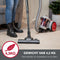 Dirt Devil Stofzuiger zonder Zak DD2503 - Vacuum Cleaner 800W HEPA 12 Filter - Cycloonstofzuiger met Combiborstel, Kierenmondstuk en Meubelopzetstuk - Stofopvangbak 2,2 L - Grijs/Rood