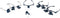 Discovery Crafts DGL 20 Magnifying Glasses