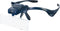 Discovery Crafts DGL 40 Magnifying Glasses