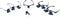 Discovery Crafts DGL 40 Magnifying Glasses