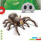 Discovery Kids RC Tarantula – spin met lichtgevende ogen en geluid