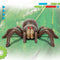 Discovery Kids RC Tarantula – spin met lichtgevende ogen en geluid