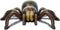 Discovery Kids RC Tarantula – spin met lichtgevende ogen en geluid