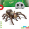 Discovery RC Tarantula spin met lichtgevende ogen en geluid