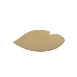 Dish Petal S/2 in giftbox Brass / Brass