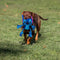 Disney - Lilo & Stitch - Stitch Honden kauwspeelgoed