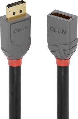 DisplayPort Cable LINDY 36497 2 m Black