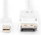 DISPLAYPORT CNCTN CBL.MN DP - DP