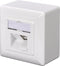 Diverse Data Wallmount CAT 5e opbouw (Light-Retail, 2x RJ-45)