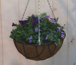 Diverse hangplantjes in kokos hanging basket van paar en blauw