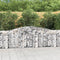 vidaXL - Schanskorven - 7 - st - gewelfd - 400x30x80/100 - cm - ijzer