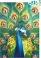 Dixit - Point of View - Puzzel - 1000 stukjes