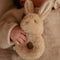 Little Dutch - Giftset Newborn Naturals - Zachte speeltjes - Natuurlijke tinten