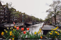 Customize it - Tuinschilderij bloemengracht 70x50