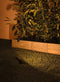 Plug & Shine Sting - LED-tuinspots - insectvriendelijk IP67 2200K 3x6,3W 75VA - Antraciet (set van 3)