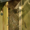 Esschert Design Observatie - Vogelhuisje