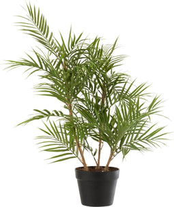 J-Line plant Bergpalm In Pot - kunststof - groen/zwart - small