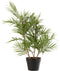 J-Line plant Bergpalm In Pot - kunststof - groen/zwart - small