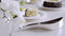 Cake server / Taart serveer RVS