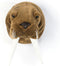 Wild&Soft- Wanddecoratie dierenkop pluche walrus Jacob
