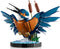LEGO Icons - 10331 - IJsvogel model met beweegbare kop en poten - 834 onderdelen