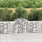 vidaXL - Schanskorven - 15 - st - gewelfd - 200x30x80/100 - cm - ijzer