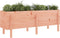 vidaXL - Plantenbak - verhoogd - 160x50x57 - cm - massief - grenenhout - douglas