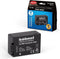 Hähnel HL-PB9 - Li-Ion Accu 900mAh - Geschikt voor Panasonic FZ camera's - Zwart