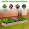 Coast Verhoogd Bloembed - Hout - Open Bodem - Tuin - 240x60x25 cm - Natuur